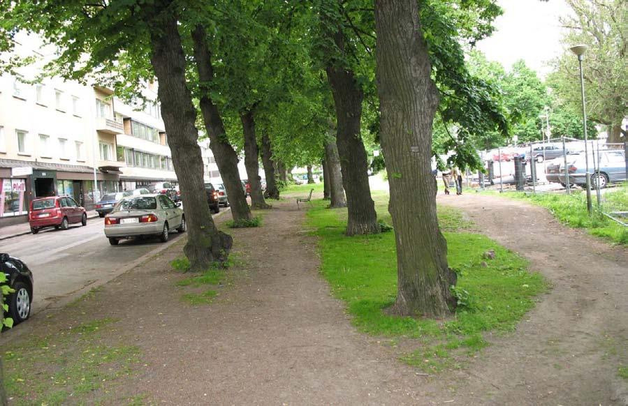 Kuva: Linnoituskaupungin kaavoitetun alueen itäosaa Valakallionpuistossa. Päivi Hakanpää. 6.