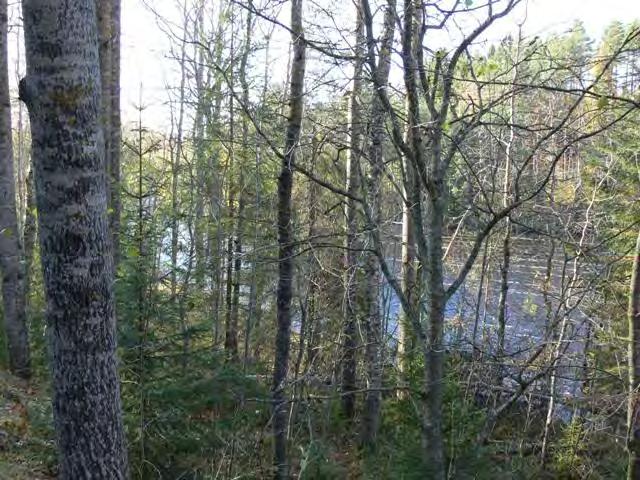 SAARIJÄRVEN KAUPUNKI SAARIJÄRVEN KESKUSTAN
