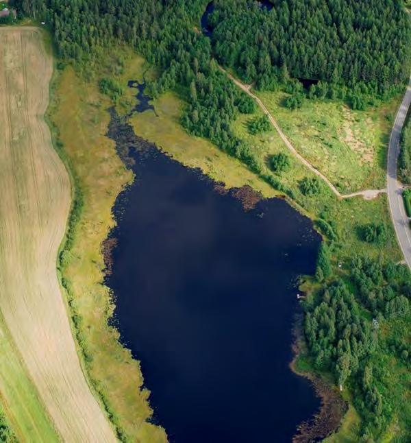 Kuva 23. Ilmakuva Koiralammesta. Lähde: Saarijärven kaupunki. 6.