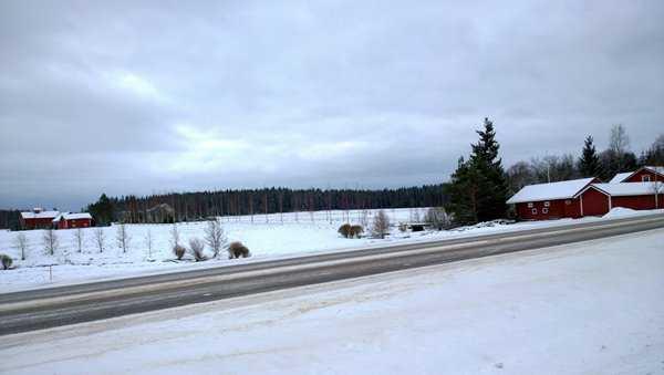 Ja tämä on oleva korkea ja oleva asuttu, paikallansa, Benjaminin portista entisen portin sijaan asti, Kulmaporttiin ja Hananelin-torniin asti, kuninkaan viinikuurniin asti. 11.