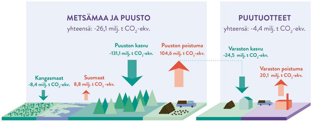 Metsien ja puutuotteiden hiilitase ja -varastot