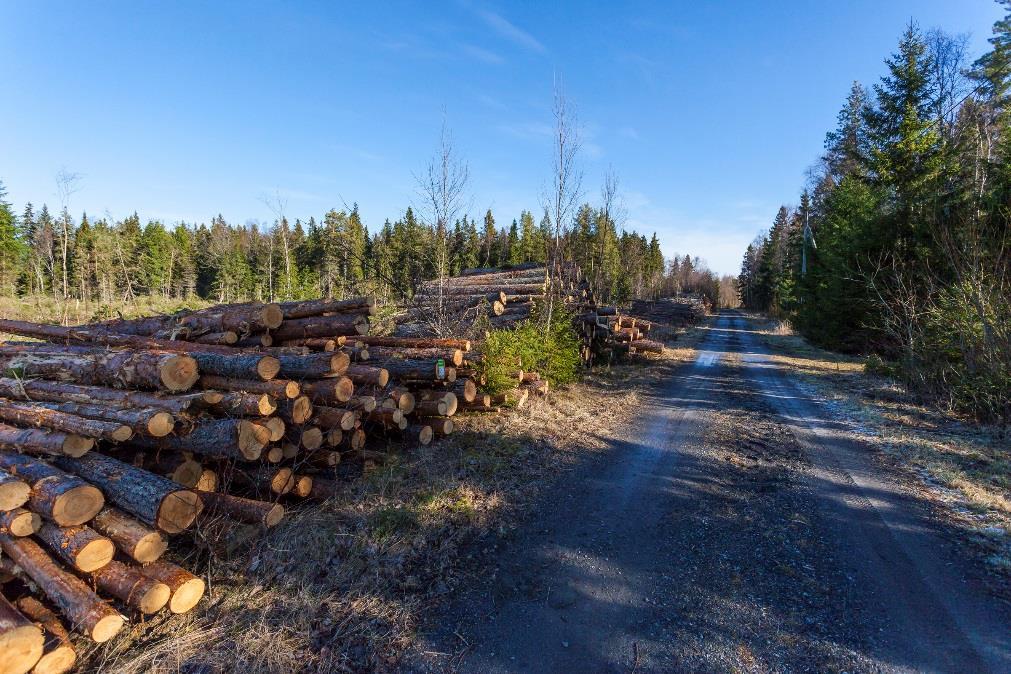 liikenteessä Talouskasvua ja hyvinvointia suomalaisille Ilmastovaikutusten arviointi