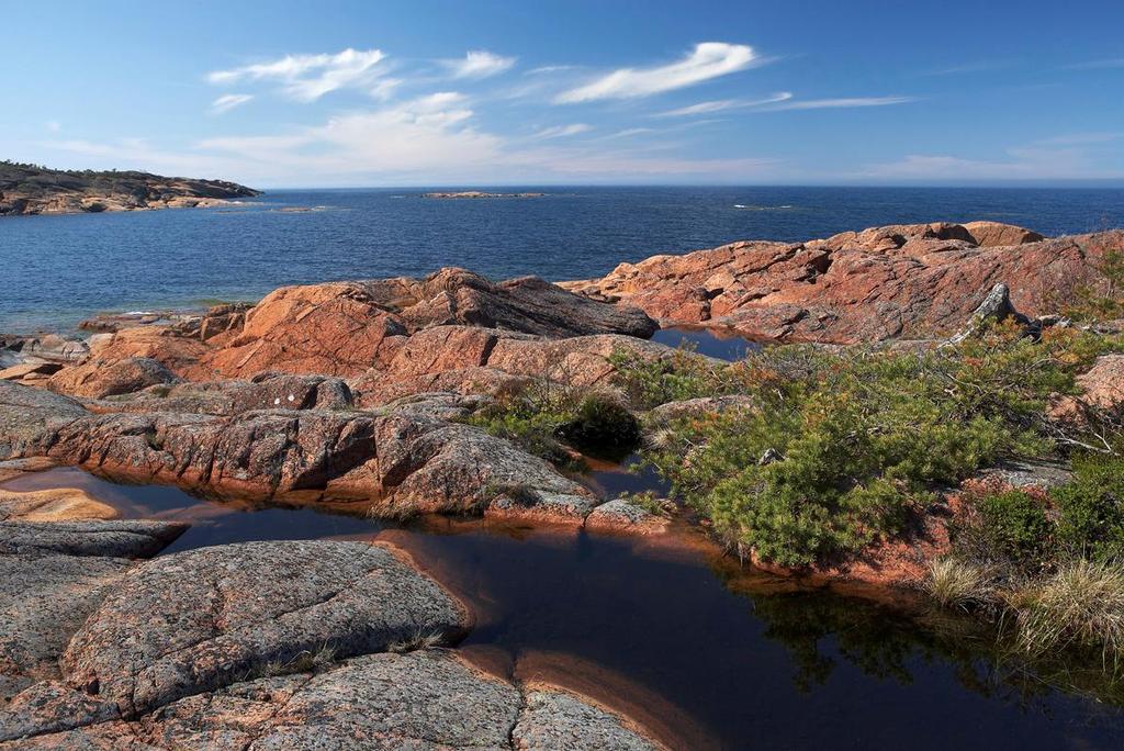 Vaikka Lions-toiminta on vakaalla pohjalla, on uskallettava katsoa pitkälle horisonttiin.