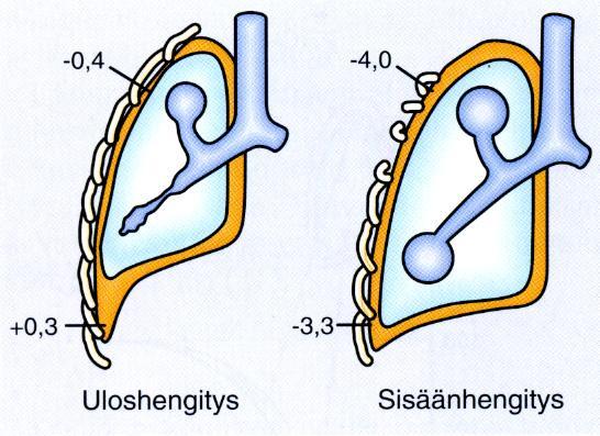 Transpulmonaaripaine ilmaistu