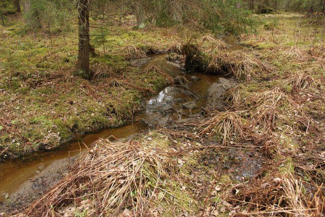 48 3.5.2 Muutoin erirakenteiseen kasvatukseen sopimattomat kuviot Kuviolla 99 on metsälain tarkoittama erityisen tärkeä elinympäristö, luonnontilaisen kaltainen puro (liite 3).