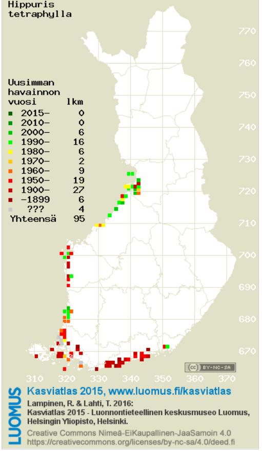 Kuva 3. Nelilehtivesikuusen levinneisyys Suomessa.