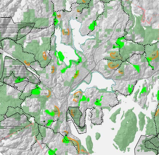Jyväskylän yleiskaava / Viherrakenne Kartassa 3/7 (maisema ja virkistys) Ulkoilupuisto Toiminnallisesti merkittävä