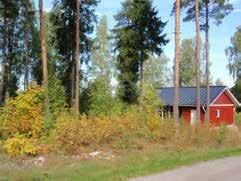 000 VAPAA-AIKAAN, KIIKALA 22/32m² Tupa+pkh+s 2008 rak.