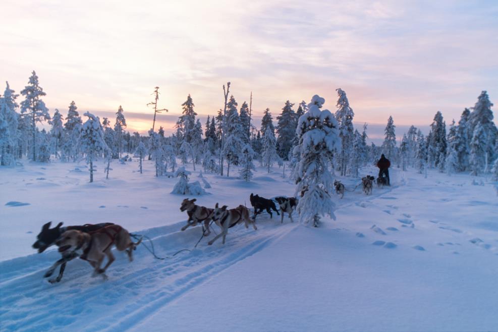 , liikunta-, hyvinvointi- ja ruokapalvelut ja tapahtumat sekä historiasta ja paikallisesta elämäntavasta kertovat tarinat aidoissa ympäristöissä ovat monipuolisen lomatarjonnan perustana.