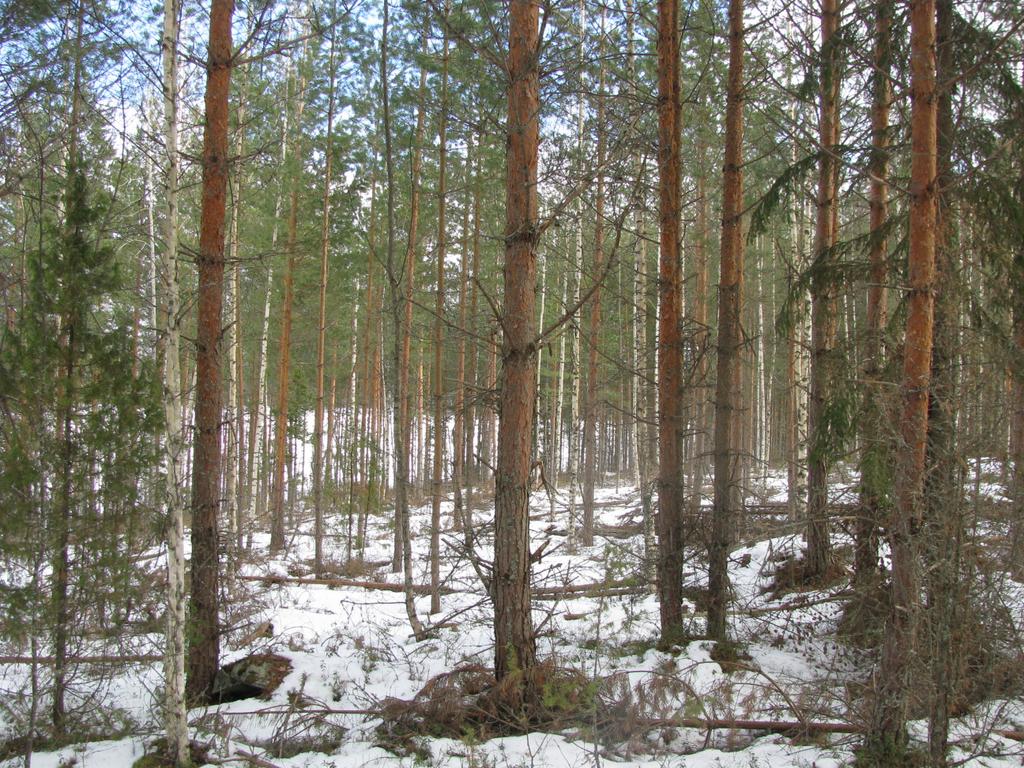 2014, ja suunnittelualueen laajentuessa tilalle RN:o 4-96 selvitystä täydennettiin 16.5.2016.