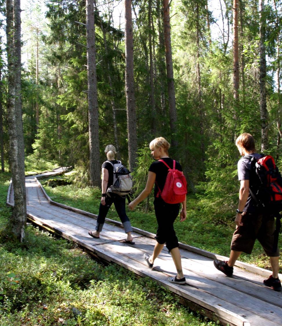 Metsien terveys- ja hyvinvointivaikutukset ovat vahvassa nosteessa 38 000 km metsäteitä.