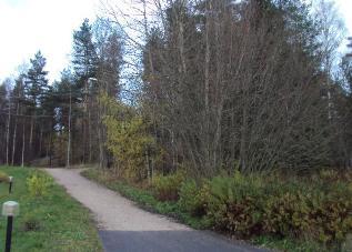 285 Sivu