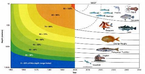 Syvänmeren kalat ovat erityisen herkkiä kalastukselle (myöhäinen sukukypsyys, pitkä elinikä, hidas kasvu) FAO 2011, State of the world marine