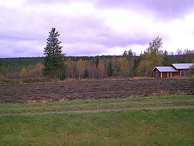 Sijainti: Paikka sijaitsee Kiuruveden kirkosta 24,8 km SW, Koivujärven pohjoispään Kylmälahden pohjoisrannalla, Tikkasenjoen suun koillispuolella 300 m, Kylmälahden talosta 50 m etelään, peltorinteen