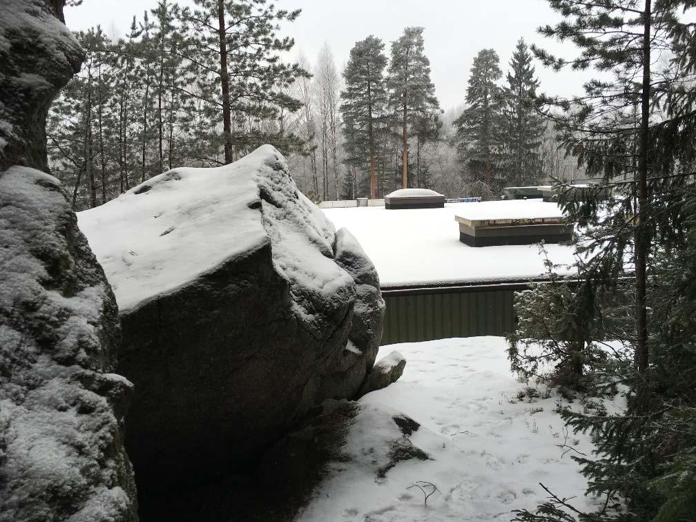 Metsän tuntu antaa luonnetta tontille.