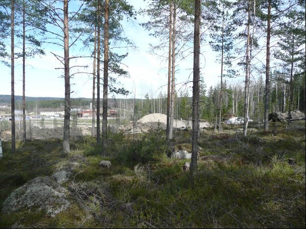 HIRVIMÄEN ASEMAKAAVA