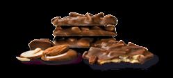 aadukkaan ylelliset PREMIUM-KEKSIT Almond Crumble Maitosuklaalla kuorrutettu rapea mantelisuklaakeksi.