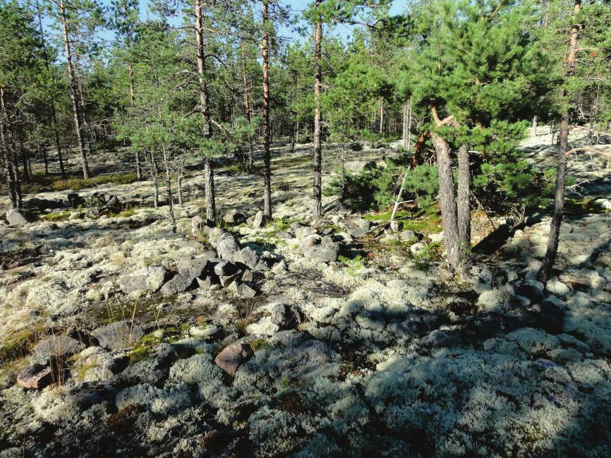 8 Kivirakennelma pieni kivikehä keskellä kuvaa KALAJOKI 90 KIVIRÄME Mjtunnus: Rauh.