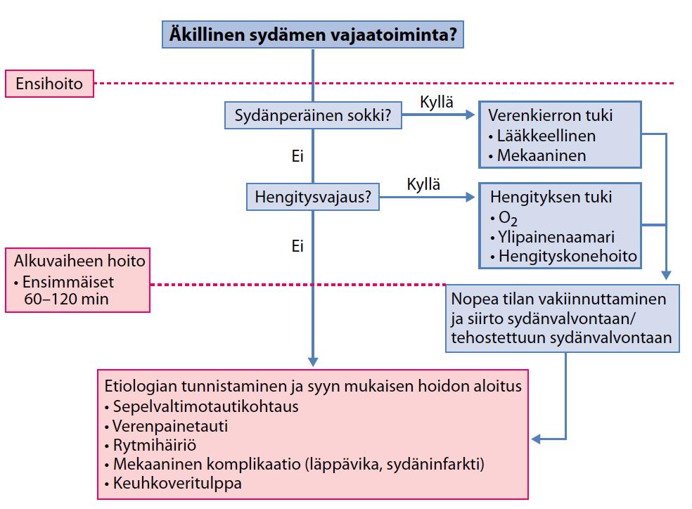 RR: noradrenaliini Inotropia: Levosimendaani,