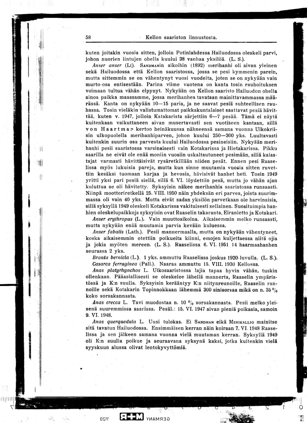 58 Kellon saariston linnustosta kuten joitakin vuosia sitten, jolloin Potinlahdessa Hailuodossa oleskeli parvi, johon nuorien lintujen ohella kuului 38 vanhaa yksilöä (L S ) Anser anser (L()