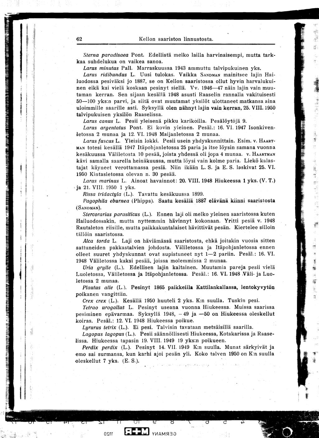 62 Kellon saariston linnustosta Sterna paradisaea Pont Edellistä melko lailla harvinaisempi, mutta tarkkaa suhdelukua on vaikea sanoa Larus minutus Pall Marraskuussa 1943 ammuttu talvipukuinen yks