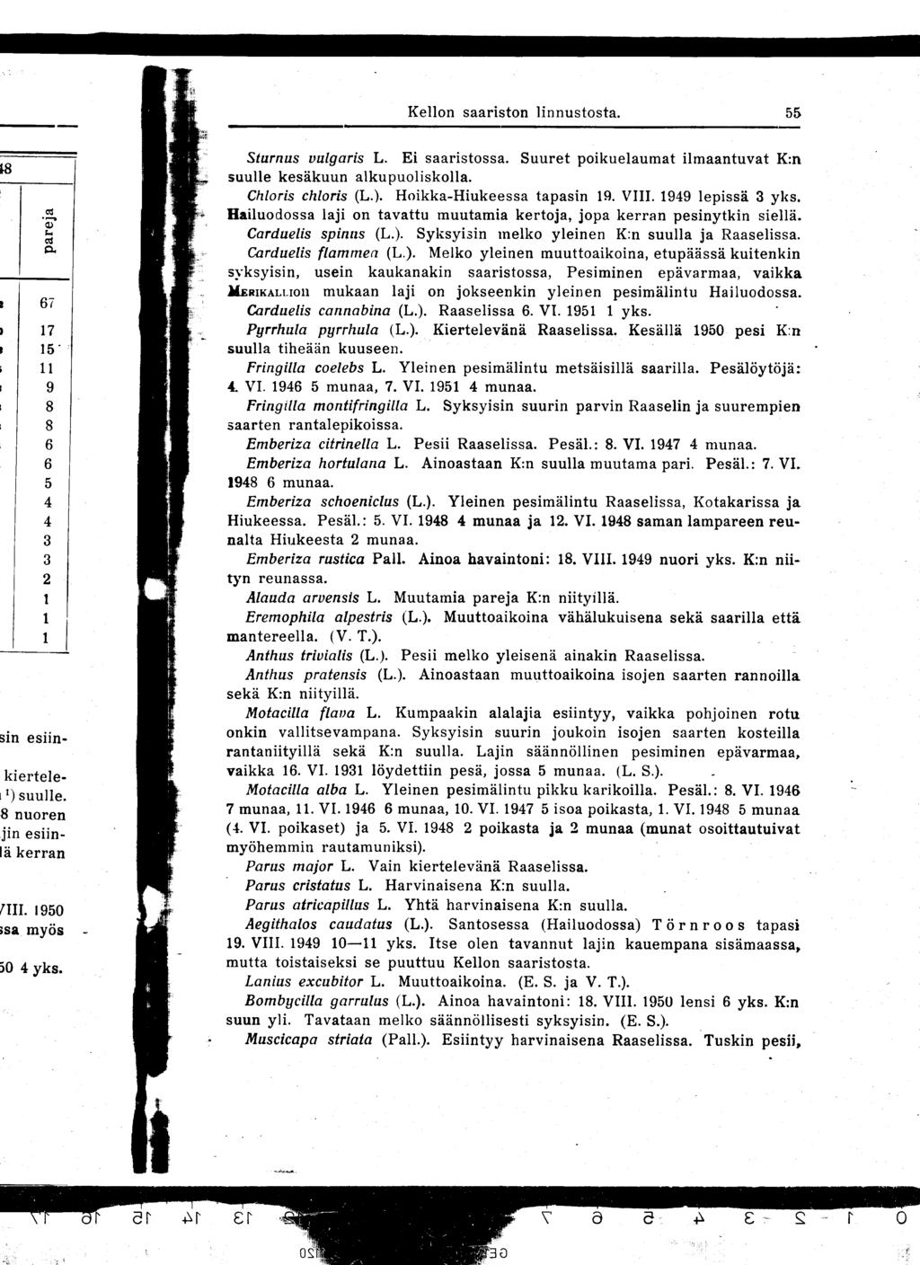 Kellon saariston linnustosta 55 Sturnus vulgaris L Ei saaristossa Suuret poikuelaumat ilmaantuvat K:n suulle kesäkuun alkupuoliskolla Chloris chloris (L ) Hoikka-Hiukeessa tapasin 19 VIII 1949