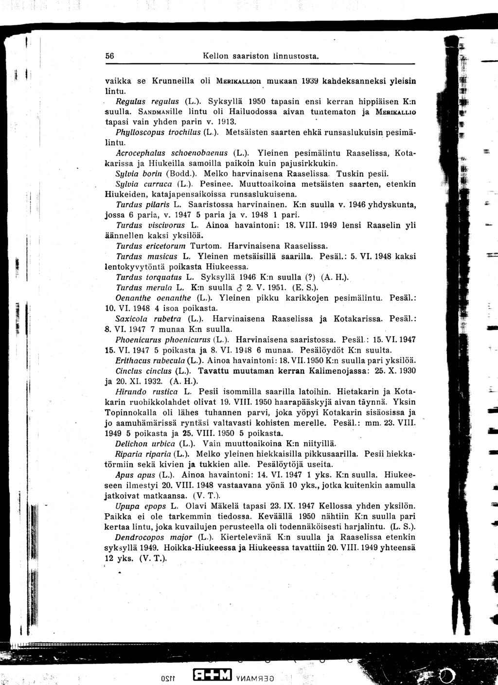 56 Kellon saariston linnustosta vaikka se Krunneilla Oli MERIKALLIOII mukaan 1939 kahdeksanneksi yleisin lintu Regulus regulus (L ) Syksyllä 1950 tapasin ensi kerran hippiäisen K:n suulla SANDMANille