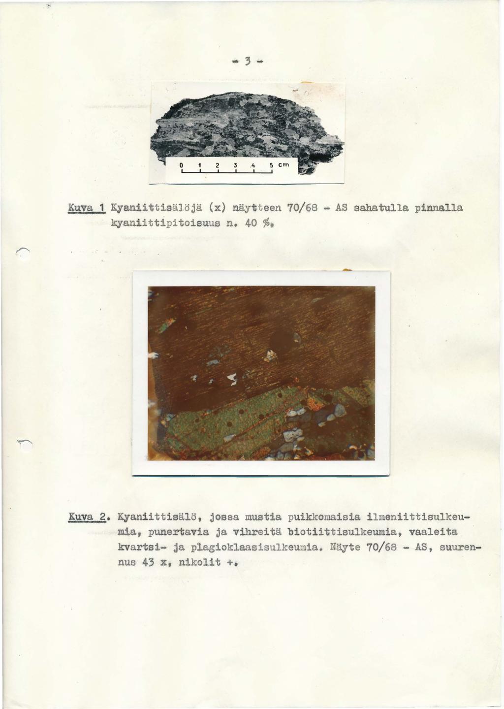 Kuva Kyaniittisälöjä (x) näytteen 70/68 - AS sahatulla pinnalla kyaniittipitoisuus n. 40 ~. Kuva 2. Kya.niittisälö, jossa mustia puikkoma.