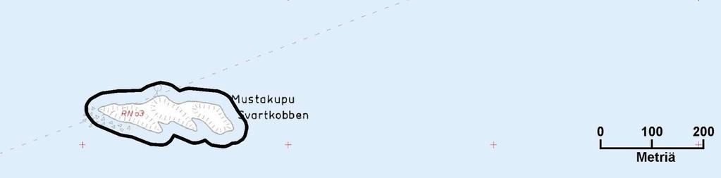 Vuonna 2004 50 60 parin kala- ja lapintiirakolonia alkoi pesiä luodon itäosassa. Luodon keskiosan louhikossa pesii silmälläpidettävä laji riskilä 3 6 parin voimin.