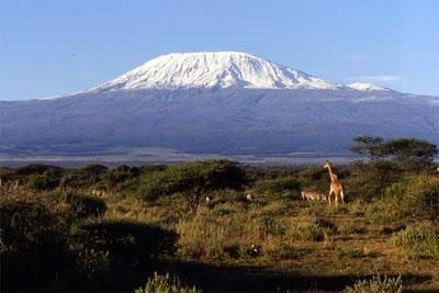Tieteen muuttuva rooli yhteiskunnassa Ilmaston lämpiäminen johtaa siihen, että Kilimanjaron jääpeite kutistuu 1944, Englantilainen insinööri Guy Callendar 2006, Al Gore elokuvassa An Inconvenient