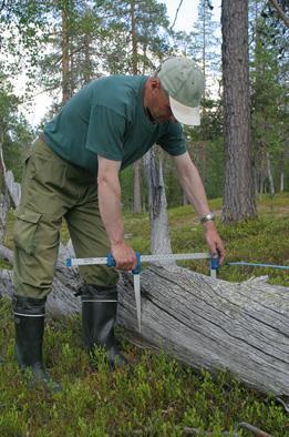 Esityksen sisältö Luke mikä se on VMI mikä se sitten on Menetelmä Pitkät aikasarjat Suomen metsistä Lapin metsävarat Aineistona