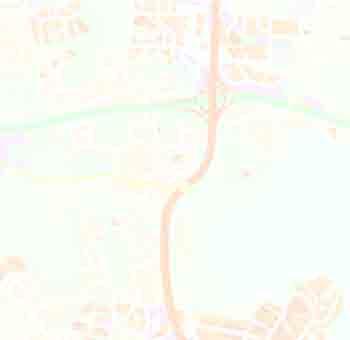 213_netti