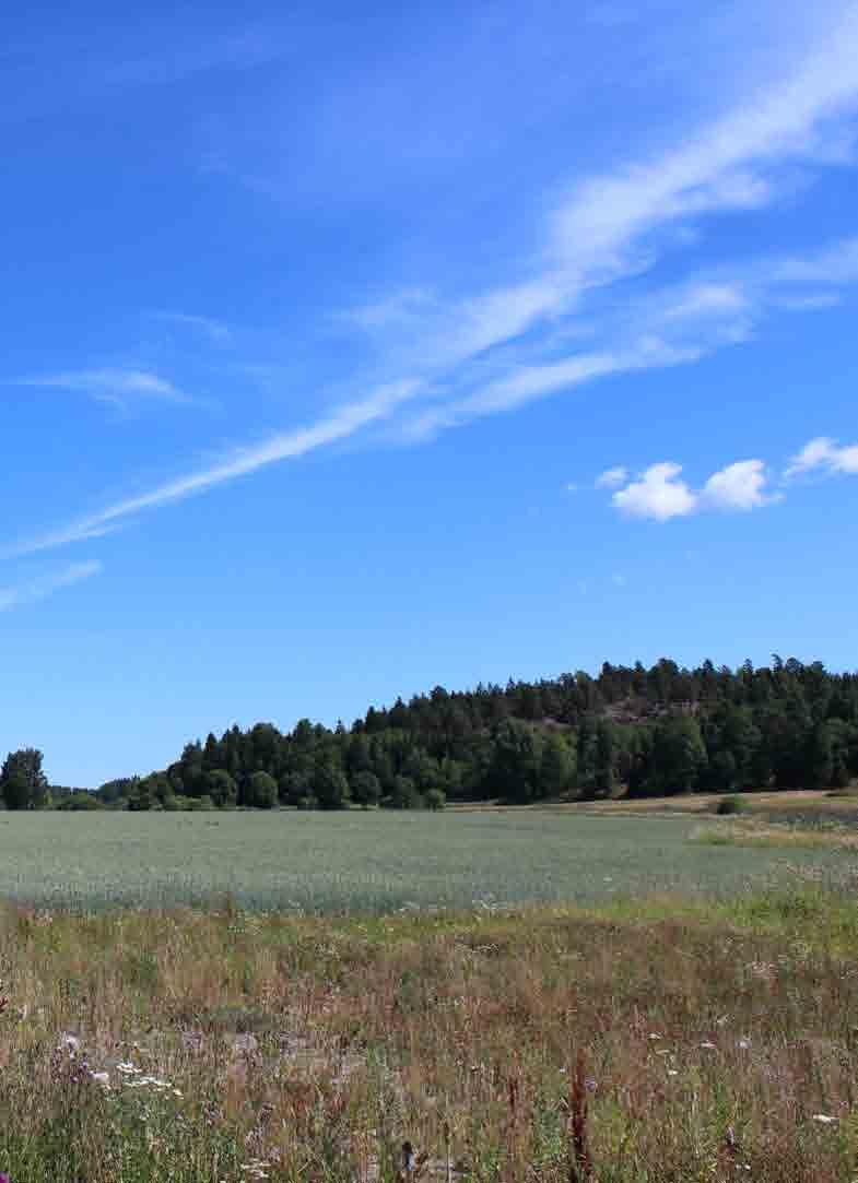 Pyöräilyn ja jalankulun määrä vaihtelee vuosittain ja vuoden aikana niin paljon, että selkeää trendiä on vaikea löytää.