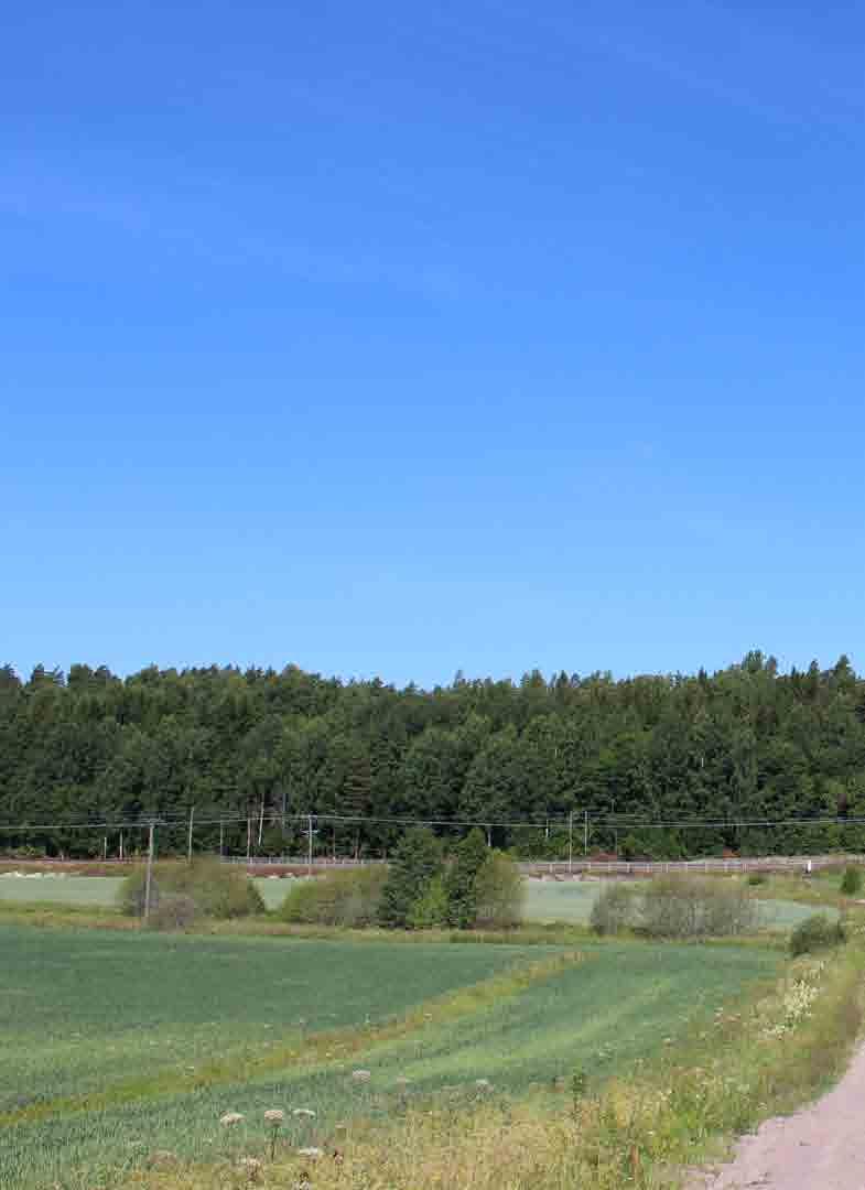 SAMMANFATTNING I rapporten granskas trafikmängderna för år 213. Trafikmängderna för resorna i fordons- och kollektivtrafiken är från hösten och för gång och cykling från sommaren och hösten.