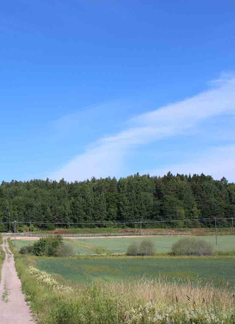 Cykel- och gångtrafiksökningen som började år 212 har fortsatt år 213. Antalet cyklister i stadscentra ökade med i medeltal 11 % från det året innan observerade.