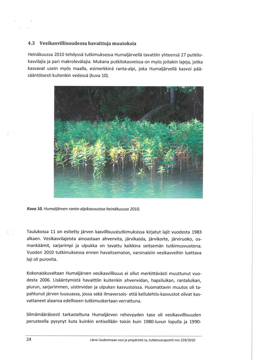 4. 3 Vesikasvillisuudessa havaittuja muutoksia Heinäkuussa 2010 tehdyssä tutkimuksessa Humaljärvellä tavattiin yhteensä 27 putkilokasvilajia ja pari makrolevälajia.