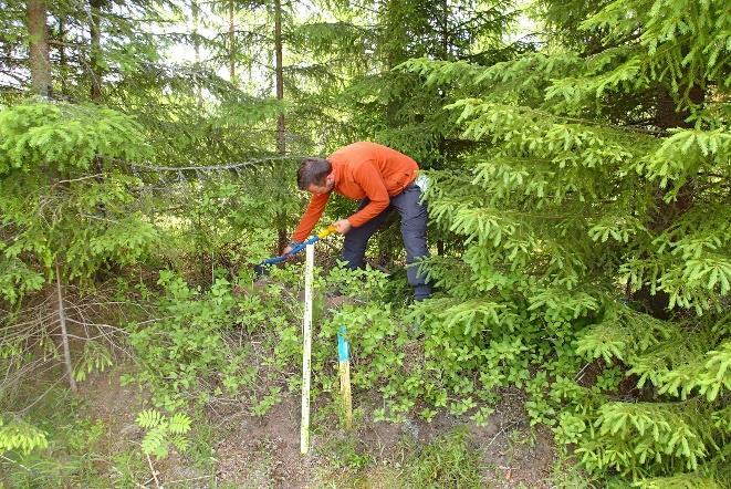 Koilliseen Vasen: TT täyttää