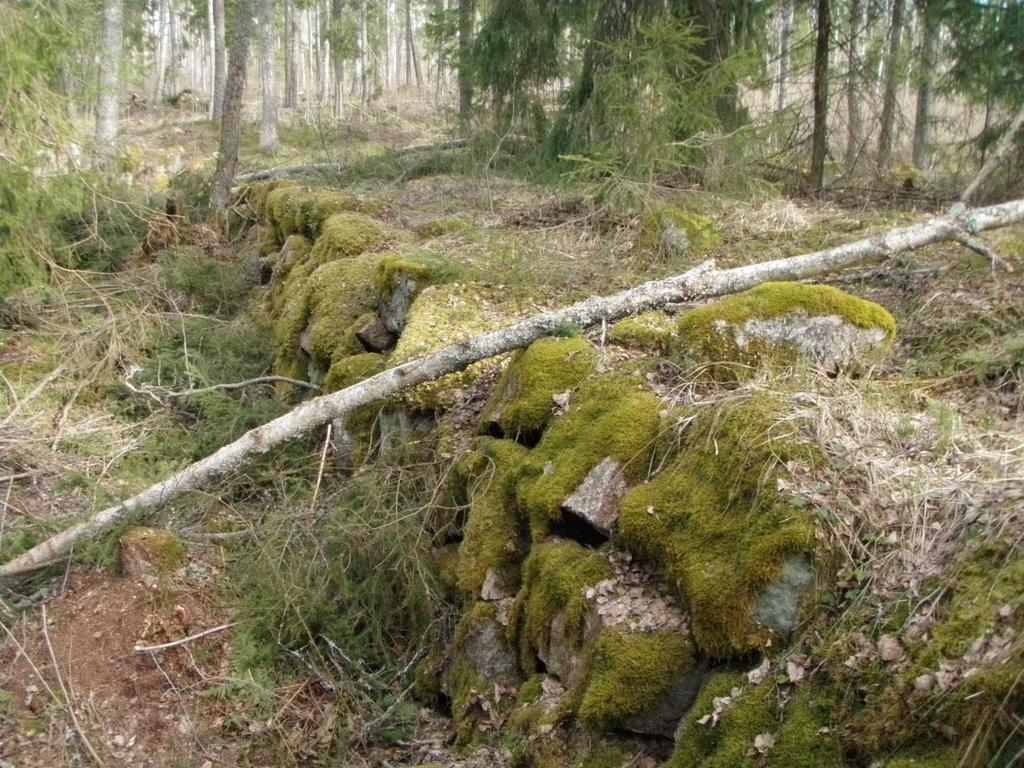Kuva 16. Kustaan Taminaa. Taminanojaan rajoittuu metsälain mukainen erityisen tärkeä elinympäristö.