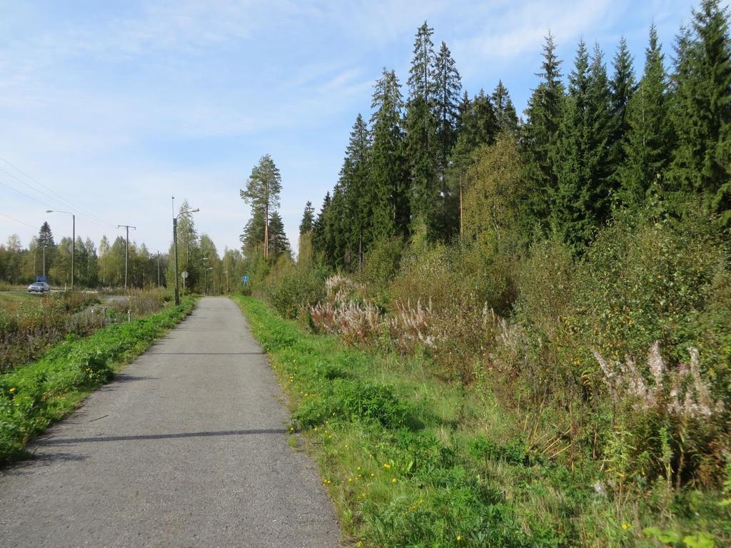 FCG SUUNNITTELU JA TEKNIIKKA OY Raportti 8 (16) 16.4.2015 Kuva 4. Syväniementien kevyenliikenteen väylää reunustaa pajukko ja nuorilehtipuusto. Kaava-alue on kuvassa oikealla. 3.
