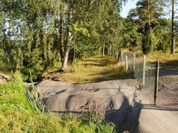 Ruskeasuo Päiväkodit Suopursu, Pensseli (Pikku Huopalahden puisto) ja Ruskeasuo (Ratsaspuisto). Peruskoulut Pikku Huopalahden ala-aste (Pikku Huopalahden puisto).