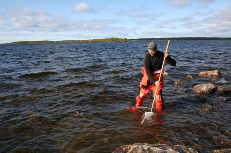 Säännöstelyn kehittämisen vaikutukset Inarijärven