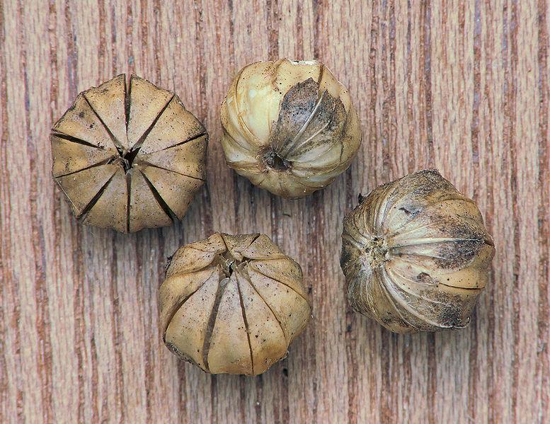 kliimaga aladel.