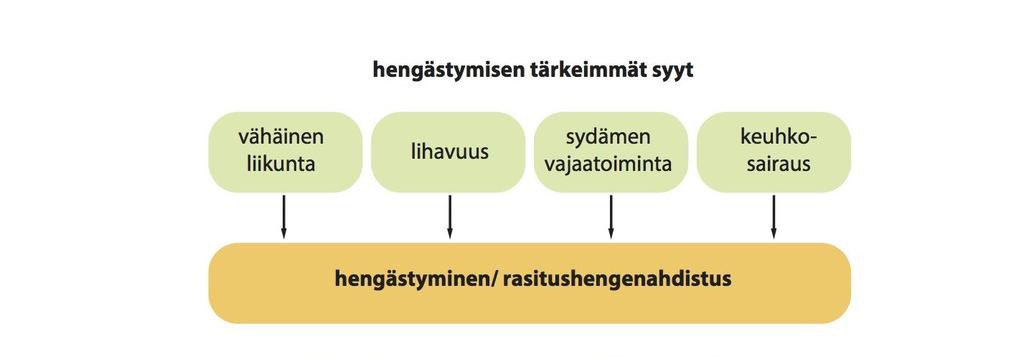 Sovijärvi A, Miksi