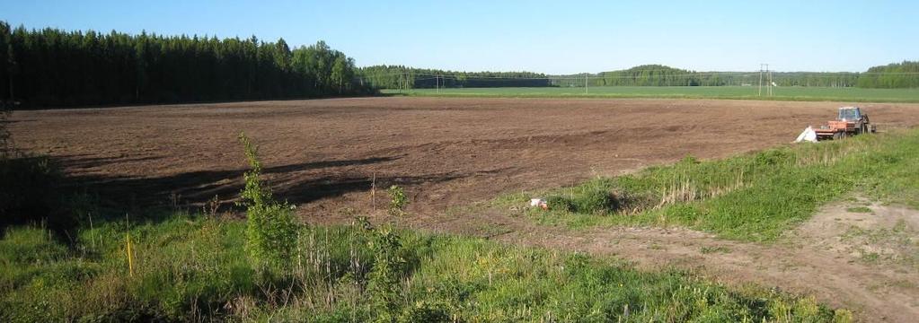 9 Kuva 4-7 Selvitysalueen länsiosan peltoa. Kuvio 7. Vantaanjoen varren rehevä kasvillisuus muodostuu mm.