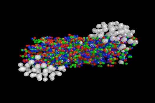 gluonit ovat vapaita: aikaa heti alkuräjähdyksen jälkeen Simulaatio