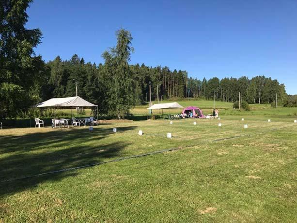 Viime vuosina olemme saaneet palautetta liian pitkästä ruohosta ja näyttelytoimikunta päätti jo viime syksynä, että tällä kertaa nurmi on riittävän lyhyttä.