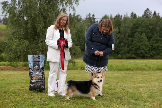 Epävakainen sää antoi ensimmäisiä merkkejään kun arvostelukehät alkoivat lähestyä loppuaan. Ukkosen jyrinän lähestyessä näyttelyväen oli aika varustautua sateensuojin.