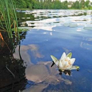 KOORDINAAI UUEEN KOIIN: SAARISOKAUUNGIN KOMASSI Saaristokaupungin luonnonläheinen Lehtoniemi on unelmien asuinpaikka urbaanille ulkoilijalle.