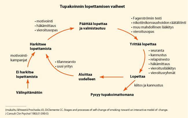 Tupakoinnin lopettaminen on pitkä ja kivinen tie Valtaosa tupakoitsijoista haluaa lopettaa Valtaosa tupakoitsijoista yrittää lopettaa ilman apua Valtaosa tupakoitsijoista tekee 5-7 yritystä ennen