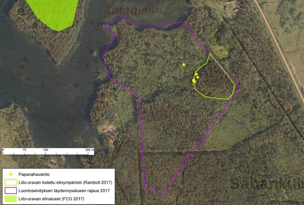 4 2.2 Kotaniemi-Sahankulma (16 ha) Selvitysalueen eteläosa vaihettuu nopeasti tuoreesta kankaasta korveksi. Selvitysaluetta halkoo ojat.